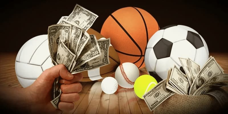 Thể Thao 24h - Điểm Đến Hàng Đầu Cho Người Yêu Thể Thao 2 Tổng quát về thể thao 24h