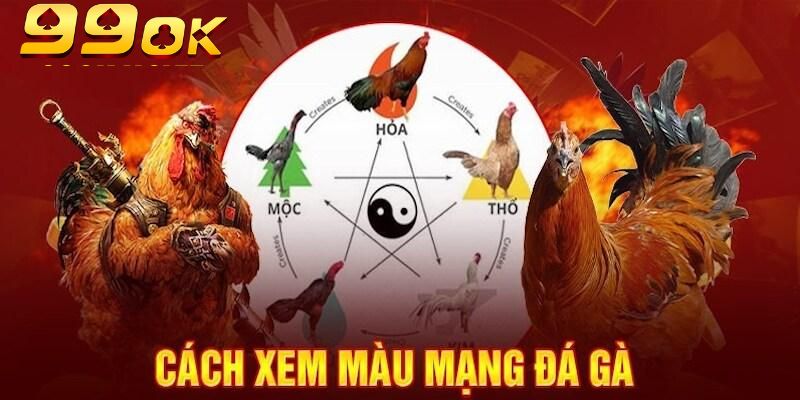 Màu Mạng Đá Gà Theo Ngũ Hành: Chọn Chuẩn – Đá Đỉnh Tại 99OK 4 Chiến kê mang mệnh Kim thường sở hữu bộ lông vàng